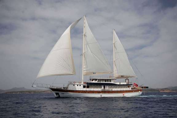Image of ELARA 1 yacht #16