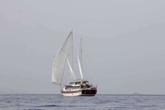 Image of ELARA 1 yacht #17
