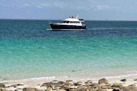 Image of FLAMENGA yacht #18