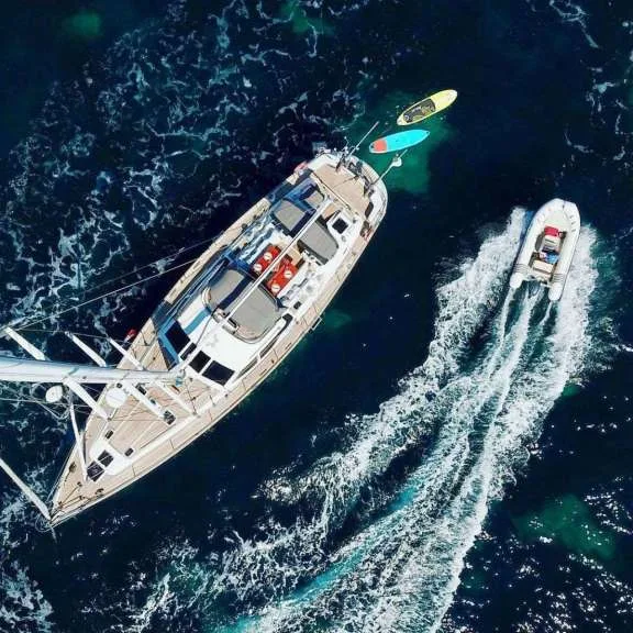 Whale Watching