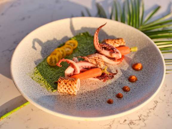 Image of SAMELI yacht #14