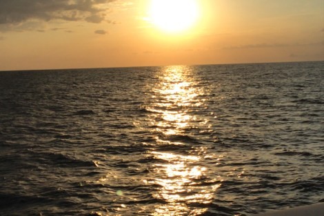 Review img # 12 of the yacht AMELIA