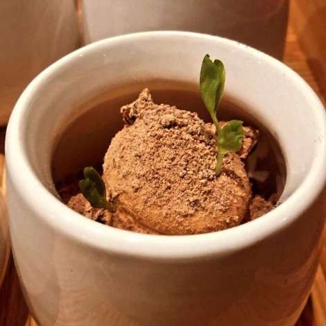 Food onboard CHRISTAL MIO 80 # 1