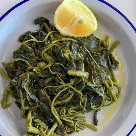 Food onboard CORALI # 5