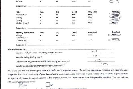 Review img # 36 of the yacht CRAZY HORSE