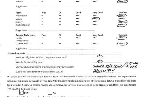 Review img # 31 of the yacht DOLLY