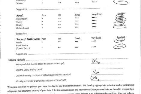 Review img # 8 of the yacht GRAYONE