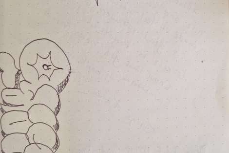 Review img # 135 of the yacht HYDRUS