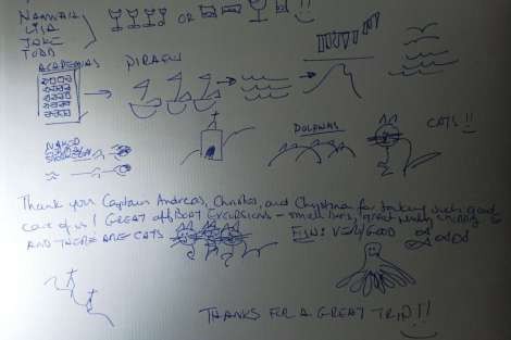 Review img # 44 of the yacht PI 2