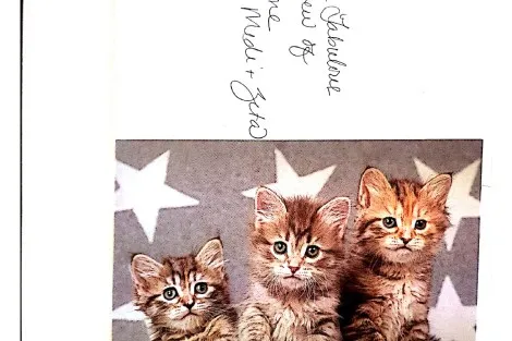 Review img # 123 of the yacht SELENE