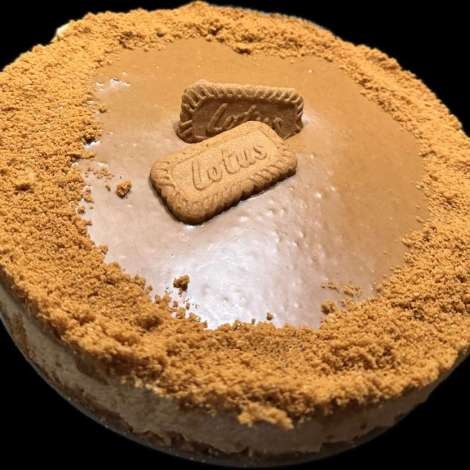 Food onboard SPRING # 8