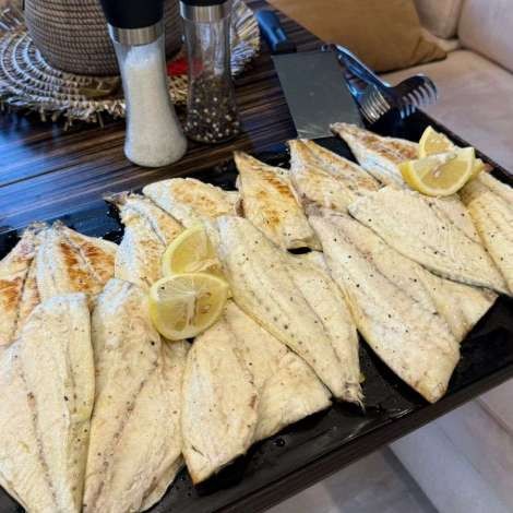 Food onboard ZEUS # 4